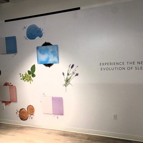 Window & Wall Graphics